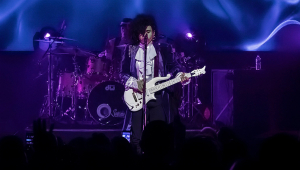 Image of The Prince Experience - Ages 18+